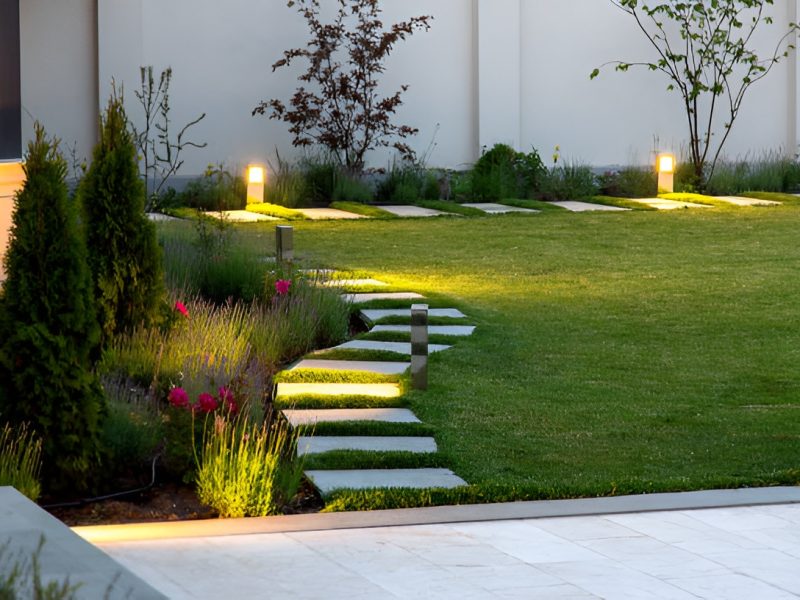 garden path illuminated by modern landscape lighting